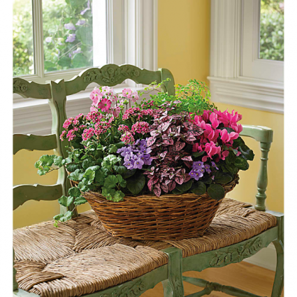BLOOMING GREEN BASKET BMG
