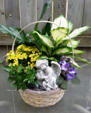 Blooming & green plants & angel in basket 