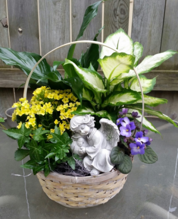 Blooming & green plants & angel in basket