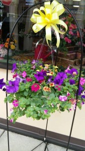 Blooming Hanging Basket annual mixture in Oil City, PA | DOUBLE BLOOM