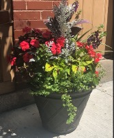 Blooming Outdoor Annual Patio Pot 