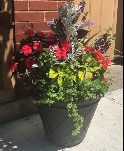 Blooming Outdoor Annual Patio Pot 