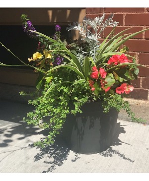 Blooming Outdoor Annual Patio Pot 
