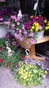 Blooming Outdoor Basket Hanging Basket
