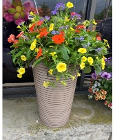 Blooming Patio Garden 
