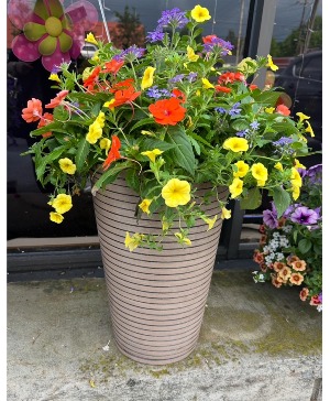 Blooming Patio Garden 