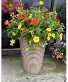Blooming Patio Garden 