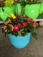 Blooming Patio Pot