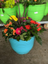 Blooming Patio Pot