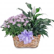 Blooming Peacefully Basket