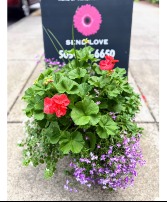Blooming Pink Porch Pot Outdoor Planter
