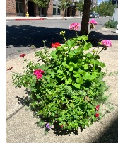 *CLEARANCE* Porch Pot Outdoor Planter