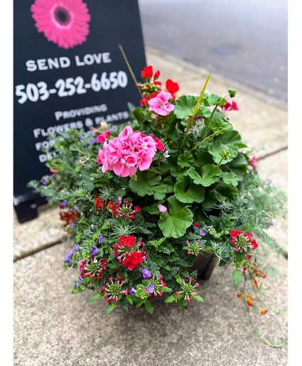Blooming Pink Porch Pot Outdoor Planter