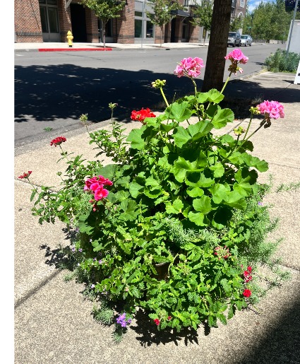 *CLEARANCE* Porch Pot Outdoor Planter