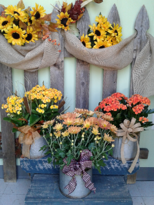Blooming Plant Assorted Blooming Plant in a Rustic Tin