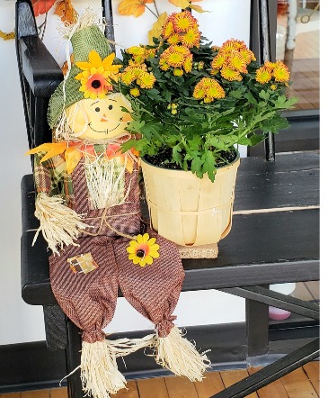 Scarecrow Blooming Planter  in Allegan, MI | Allegan Floral and Gifts