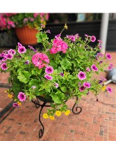 Blooming Planter  1 LEFT Blooming Plants ORDER NOW