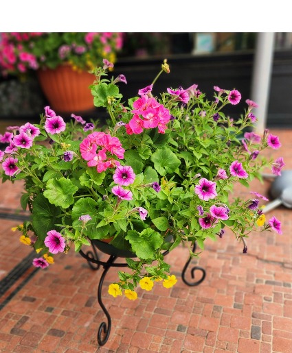 Blooming Planter 1 LEFT Blooming Plants ORDER NOW