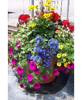Blooming Planter Mother's Day Planter