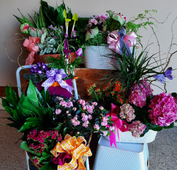 Blooming Planters Call us to custom order