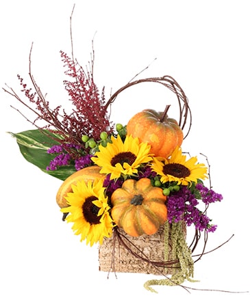 Blooming Pumpkin Patch Floral Design in Mobile, AL | ZIMLICH THE FLORIST