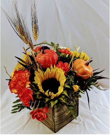 Blooming Pumpkin Patch  Wooden box  in Bend, OR | AUTRY'S 4 SEASONS FLORIST