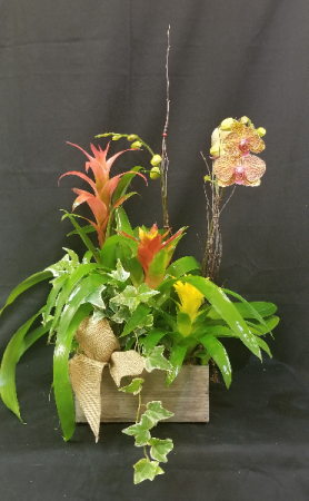 Blooming Rustic Box Blooming Planter