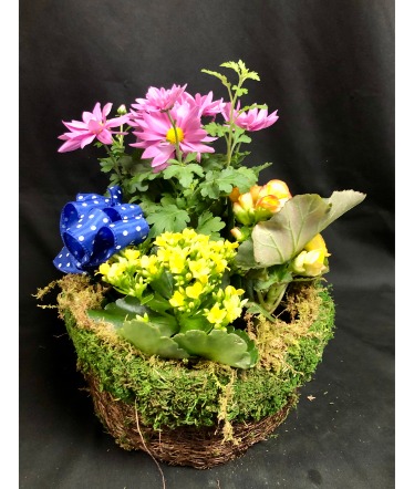 BLOOMING SPRING BASKET  in Chelmsford, MA | A FLORAL MOMENT BY JUJU BUDS