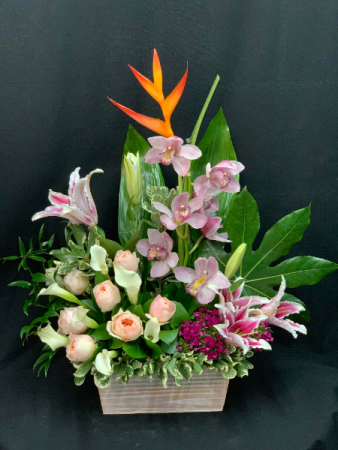 Blooming Tropical