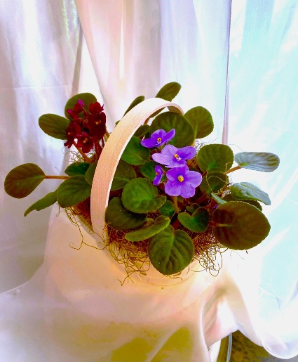 Blooming Violet Basket Blooming Violet Basket