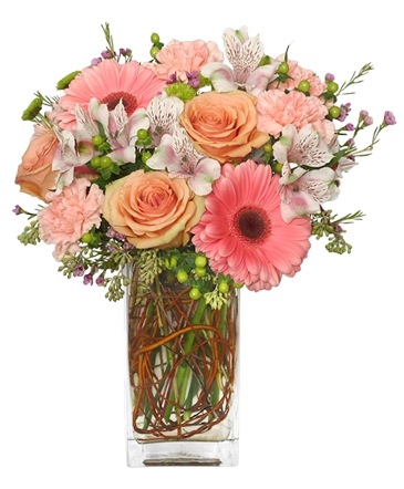 BLOOMING WITH ADMIRATION Bouquet in Riverside, CA | Willow Branch Florist of Riverside