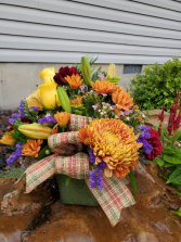 Blooming with autumn  fresh arrangement 
