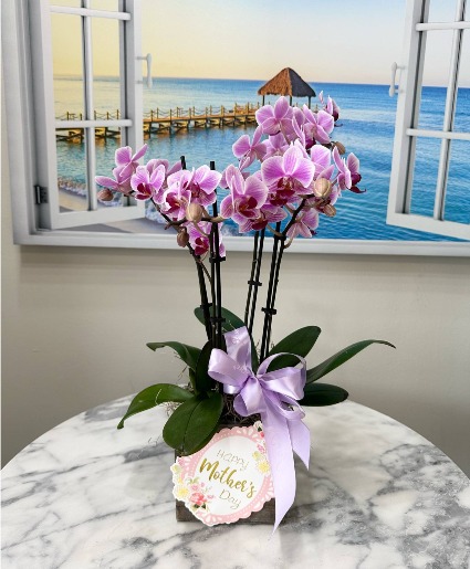 Blooming with Love