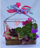 Blooming Wooden Planter Blooming plants