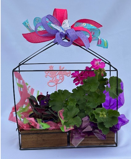 Blooming Wooden Planter Blooming plants