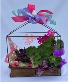 Blooming Wooden Planter Blooming plants