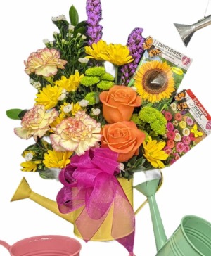 Spring Blooms SPRING SPECIAL in Lewiston, ME | BLAIS FLOWERS & GARDEN CENTER Spring Blooms SPRING SPECIAL in Lewiston, ME | BLAIS FLOWERS & GARDEN CENTER