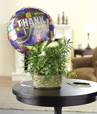 Bloomnet's Gratitude Garden Basket