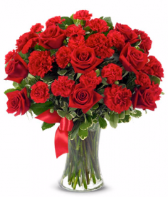 Category Image