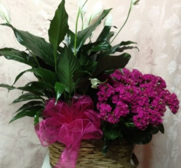 Blooms and Greens for You