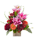 Blooms Box 
