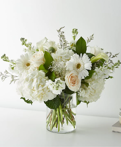 Blooms in White Clear Cylinder 