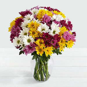 FTD Blooms of Colourful Poms Vased Arrangement