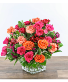 Blossoming Bellini 