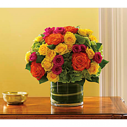 Blossoms in Vogue Fall / All Occasions