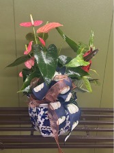 blue and white ceramic planter 