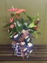 blue and white ceramic planter 