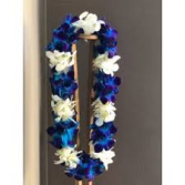 BLUE AND WHITE DOUBLE ORCHID LEI GRADUATION LEI