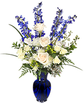 Blue and White Vase 
