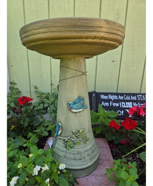 Blue Bird of Happiness  Bird bath